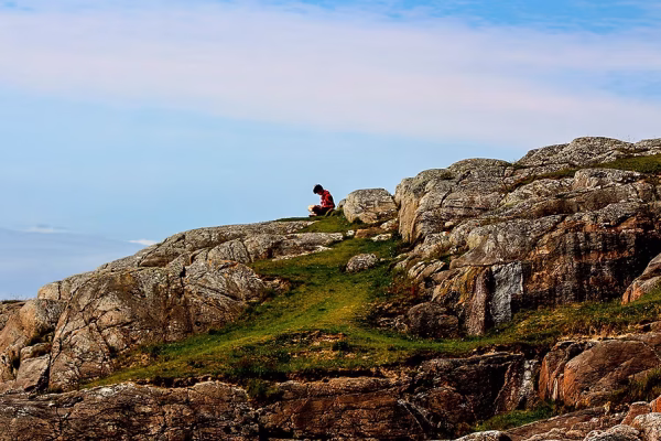 Not another blinking survey.